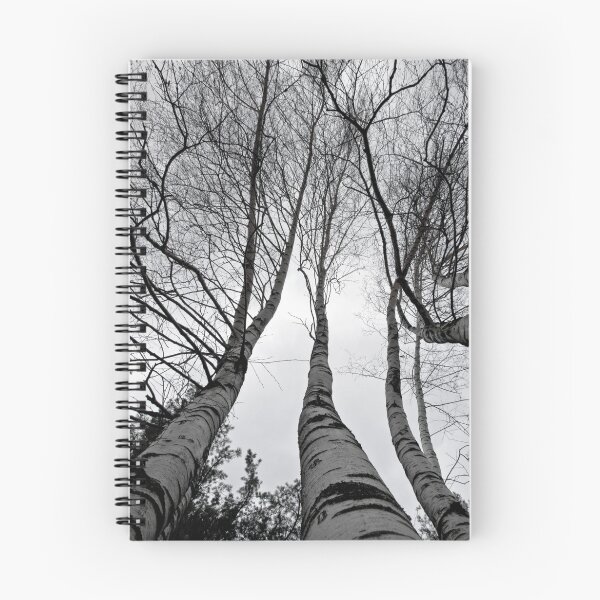 Item preview, Birch Path designed and sold by Klezedawg Imaging.
