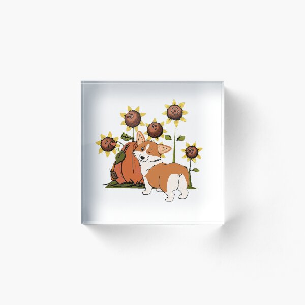 Funny Welsh Corgi with Pumpkin Acrylic Block