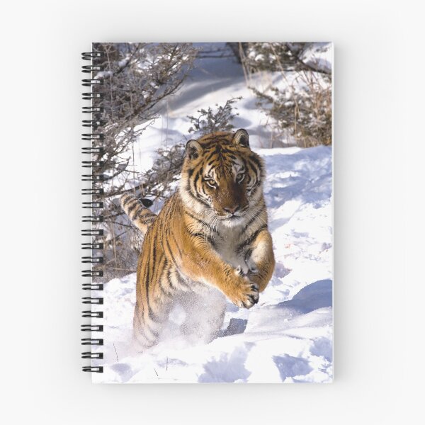 Item preview, Leaping Tiger designed and sold by mrshutterbug.