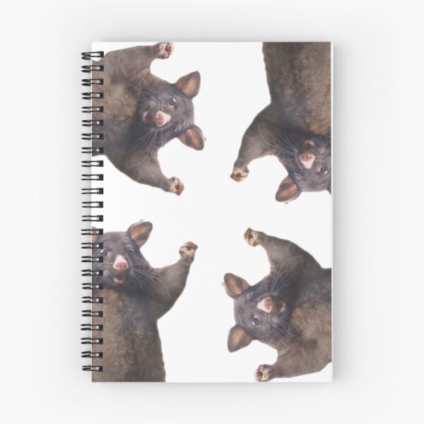 Item preview, dunkey get that guy outta my stream 4x designed and sold by dombeef.