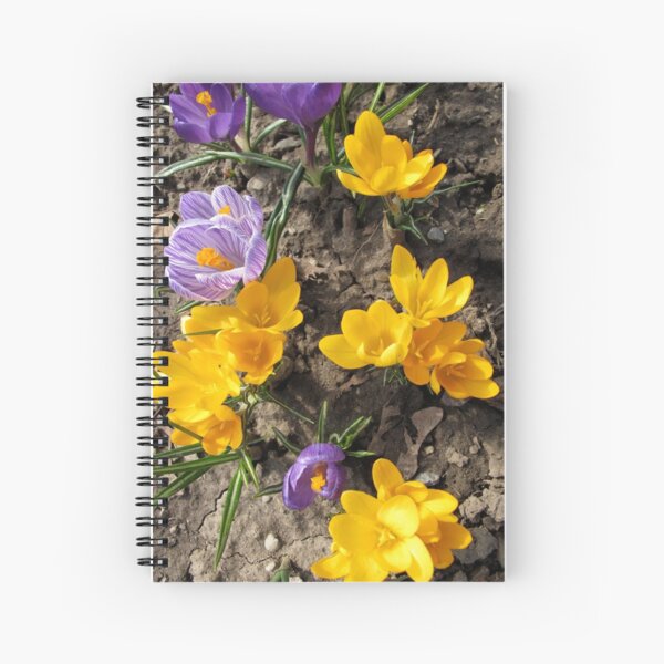 Item preview, Hocus Crocus designed and sold by MarianBendeth.
