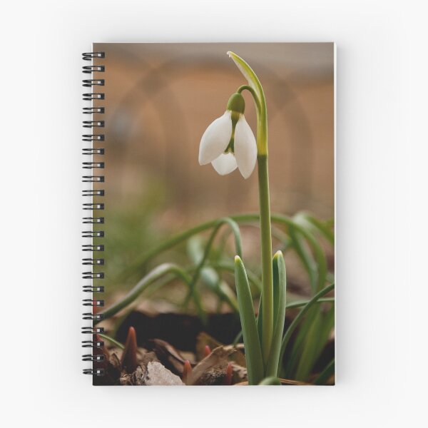 Item preview, First snowdrop! designed and sold by BonnieJames.