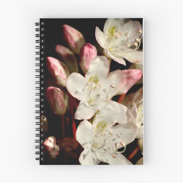 Item preview, Mountain Laurel designed and sold by Joshua Hanna.