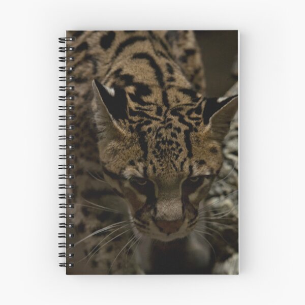 Item preview, Ocelot designed and sold by TeresaB.