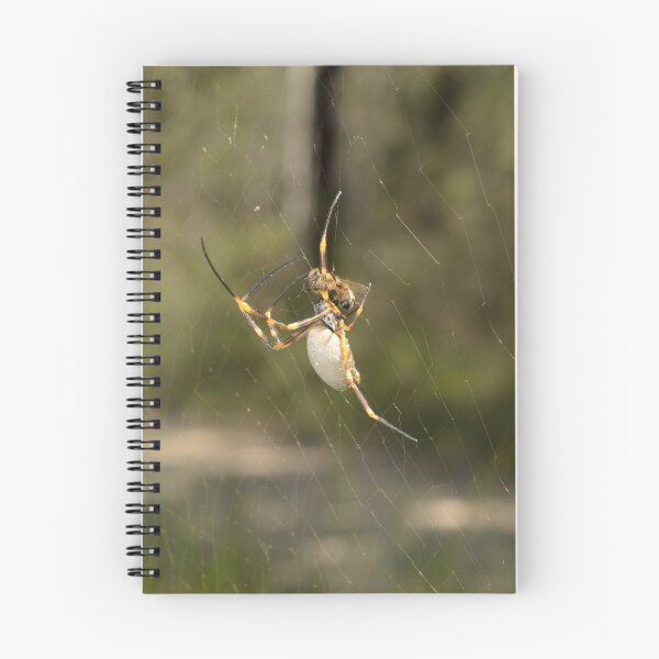 Item preview, Golden Orb Weaver with Bee designed and sold by Andrew Trevor-Jones.