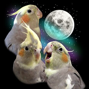 Artwork thumbnail, Three Tiel Moon by coodew