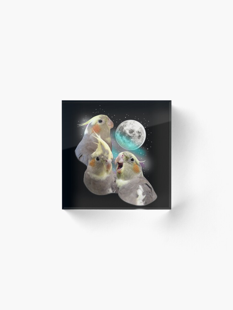 Thumbnail 2 of 5, Acrylic Block, Three Tiel Moon designed and sold by coodew.