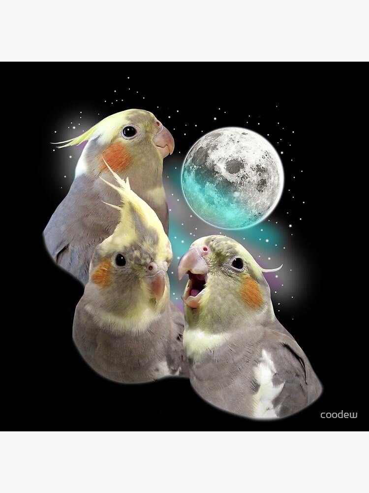 Three Tiel Moon by coodew