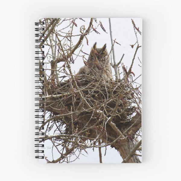 Item preview, Great Horned Owl Mom and fledgling designed and sold by Klaus Girk.