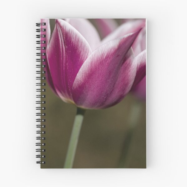 Item preview, Tulips designed and sold by Dania Reichmuth.