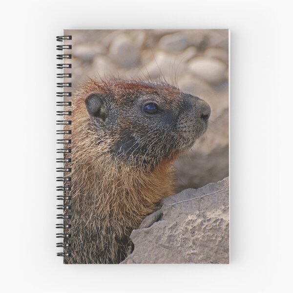 Item preview, Marmot #306 designed and sold by Rodney55.