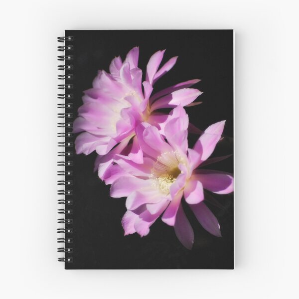 Item preview, Echinopsis Aurea designed and sold by Saija  Lehtonen.