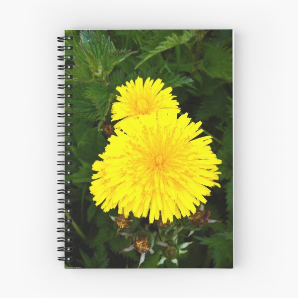 Item preview, Dandelion designed and sold by timtopping.