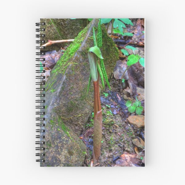 Item preview, Jack-In-The-Pulpit designed and sold by Jeff VanDyke.