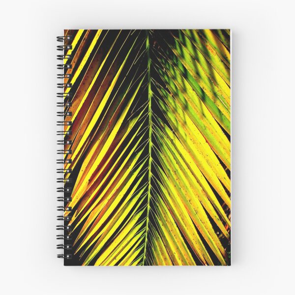 Item preview, Bright palm leaf in sunlight designed and sold by Amanda Ziegelbauer.
