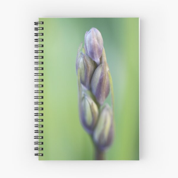 Item preview, budding blue bell designed and sold by yampy.