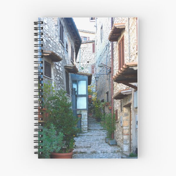 Item preview, Fumone Alley in Italy designed and sold by Warren. A. Williams.