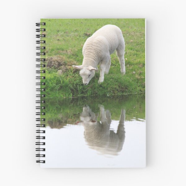 Item preview, Mirror Mirror On The Water  designed and sold by DutchLumix.