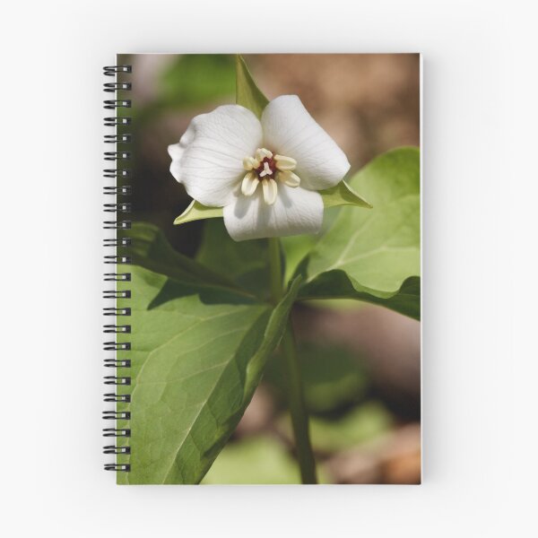 Item preview, White Trillium designed and sold by Tim Devine.