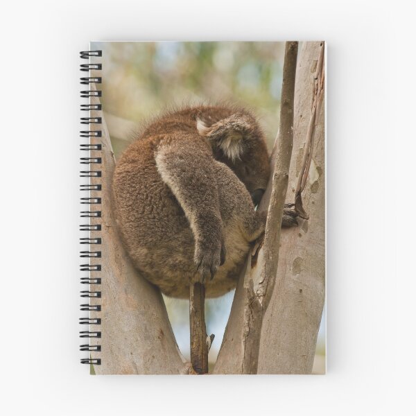 Item preview, Koala Shashlik designed and sold by Nuttee Nuttee.
