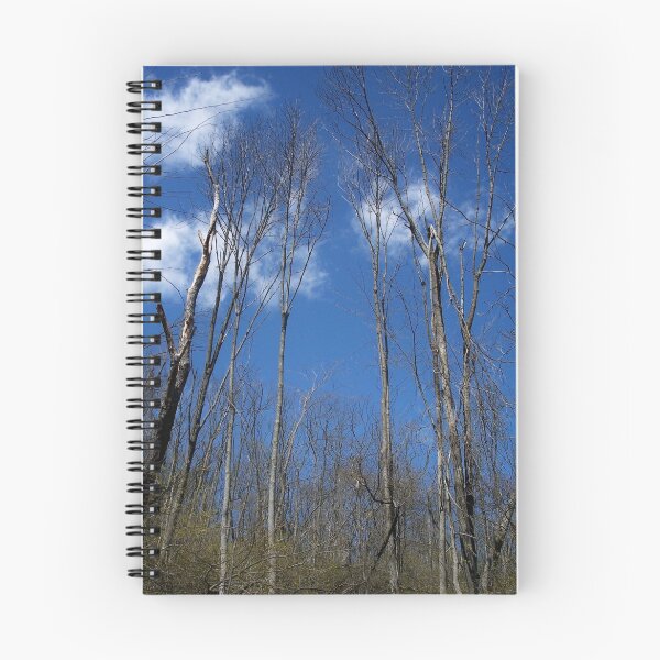 Item preview, Catch a cloud! designed and sold by Nella Khanis.
