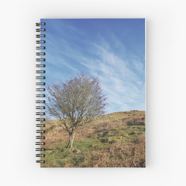 Item preview, Precipice walk -lone tree designed and sold by StephenRB.