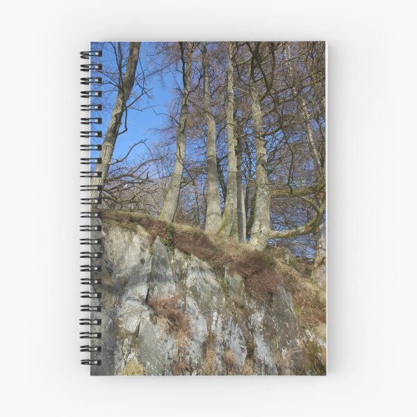 Item preview, Precipice walk - treeline designed and sold by StephenRB.