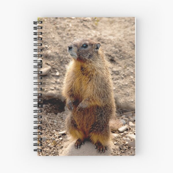 Item preview, Marmot Standup designed and sold by Rodney55.