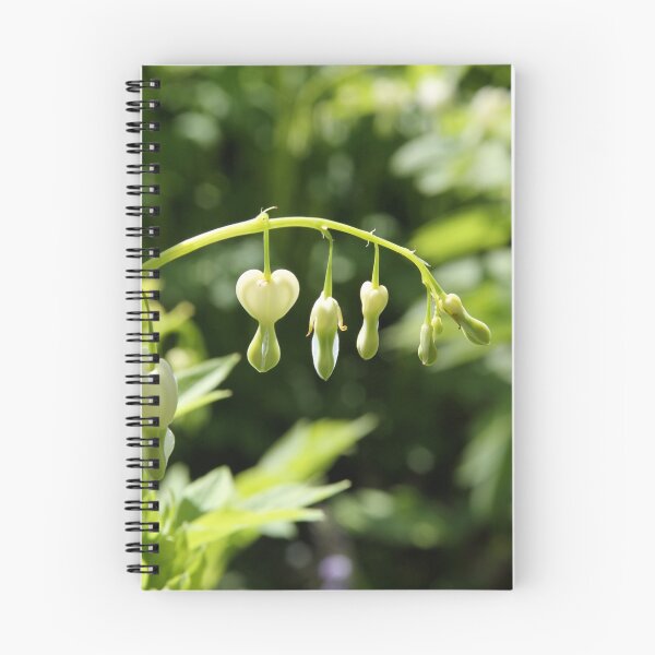 Item preview, Preparing to Bloom designed and sold by Laddie Halupa.