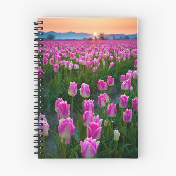 Item preview, Skagit Dawn designed and sold by Inge Johnsson.