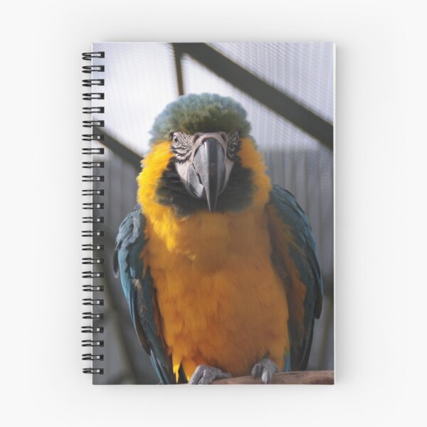 Item preview, Who's a Pretty Boy Then??  ....... Oh wait I am designed and sold by Russell Jenkins.