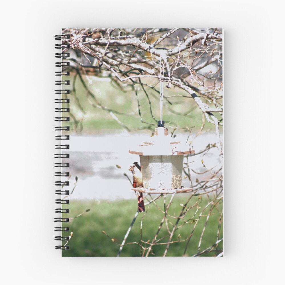 Item preview, Spiral Notebook designed and sold by Boo7.