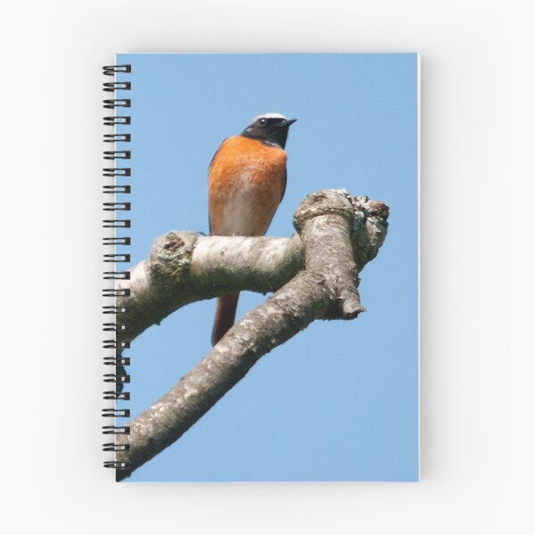 Item preview, common redstart designed and sold by Grandalf.