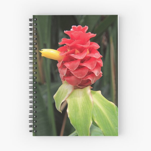Item preview, Bromeliad designed and sold by Thaddeus Zajdowicz.