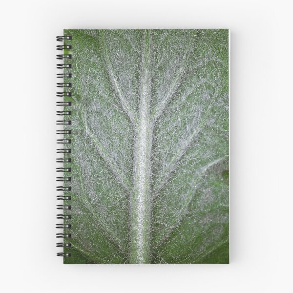 Item preview, Texture designed and sold by Martyn Franklin.