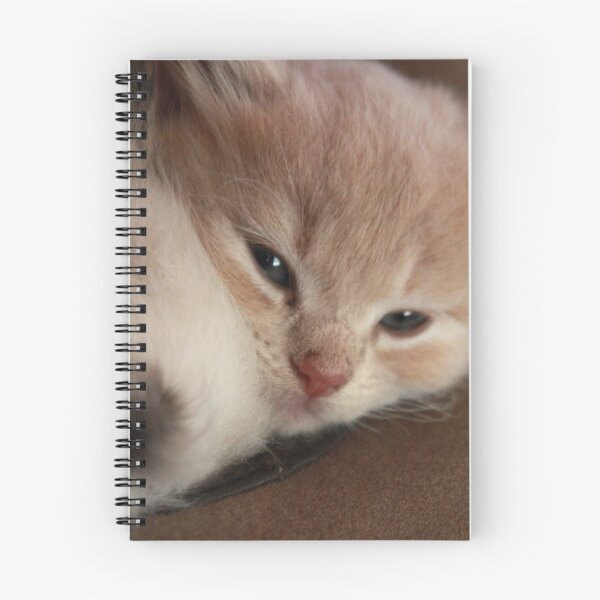 Item preview, Cat in a Hat designed and sold by Dufflebag.
