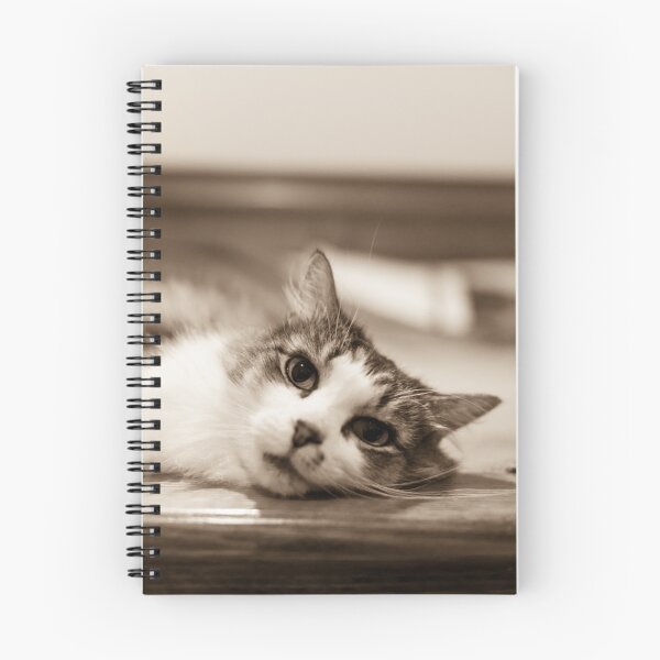 Item preview, Kitty #2 designed and sold by Brenton Ford.