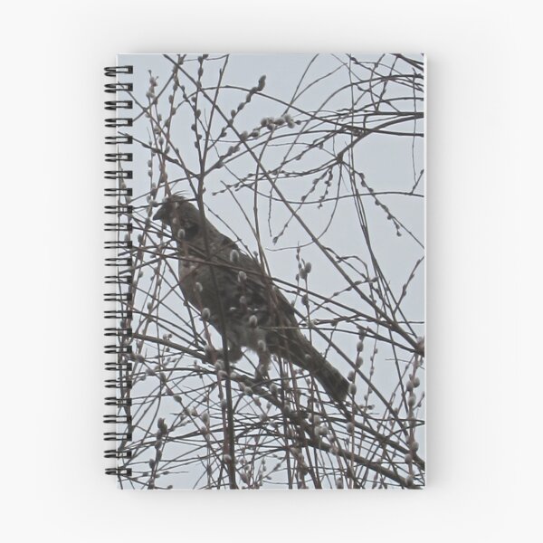 Item preview, Partridge in a Pussywillow Tree designed and sold by Rochelle Smith.