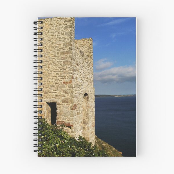 Aperçu de l'œuvre Rinsey Tin Mine créée et vendue par Pixie22.
