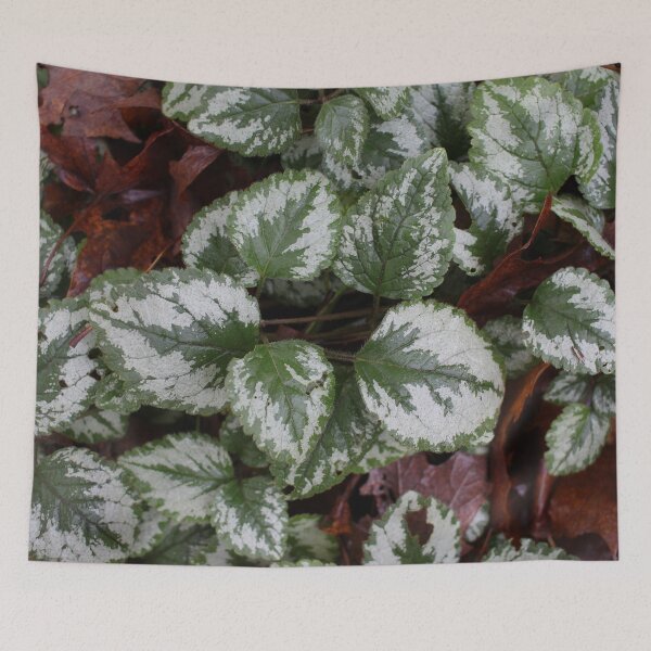 Item preview, Hierba verde plata 1 designed and sold by Logan McCarthy.