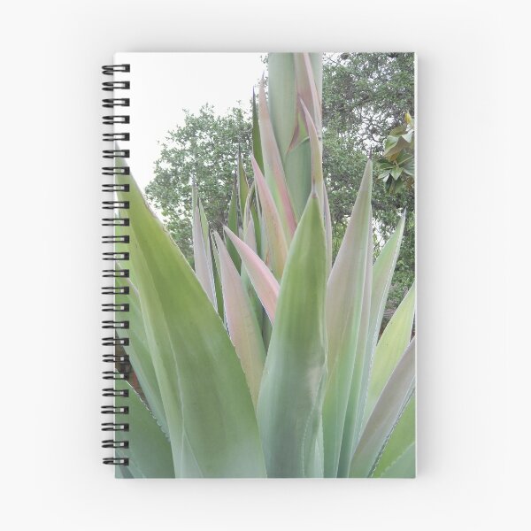 Artikelvorschau, Agave, a Century Plant - Agave Americana entworfen und verkauft von Navigator.