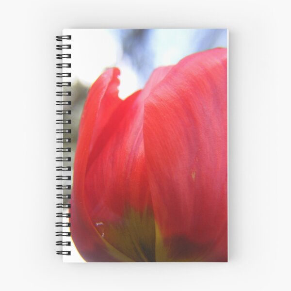 Item preview, Tulip Petals designed and sold by Nancy Chambers.