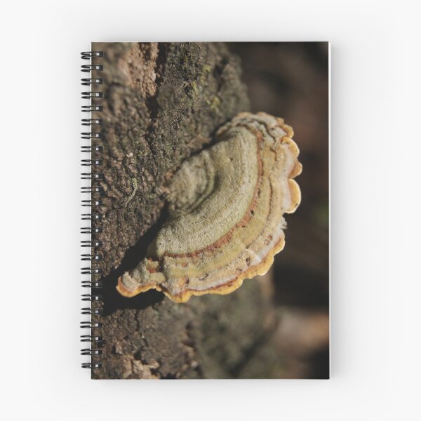 Item preview, Fungi Fan designed and sold by michellerena.