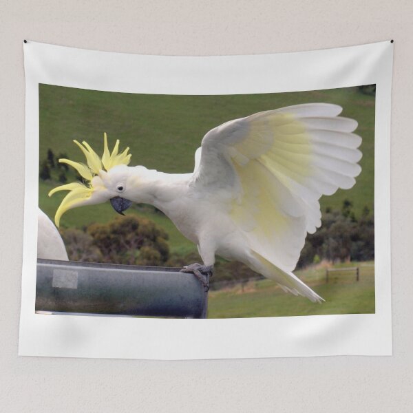 Item preview, Sulphur Crested Cockatoo designed and sold by Clive.