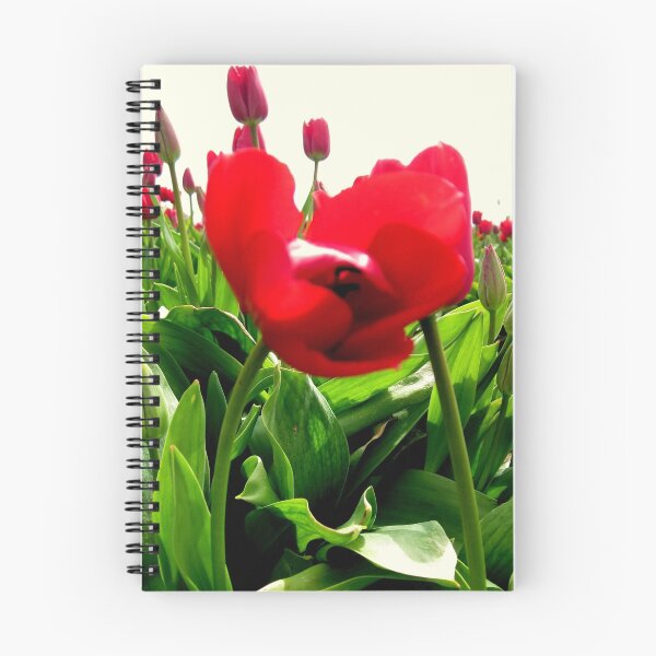 Item preview, Ille de France designed and sold by Patricia  Butler.