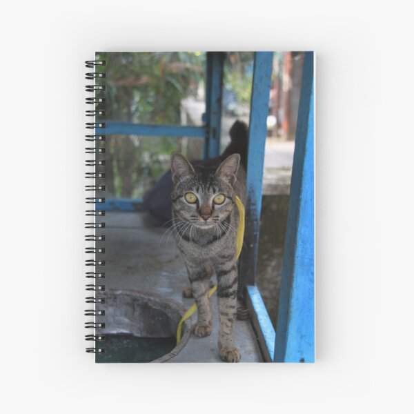 Curious Spiral Notebook