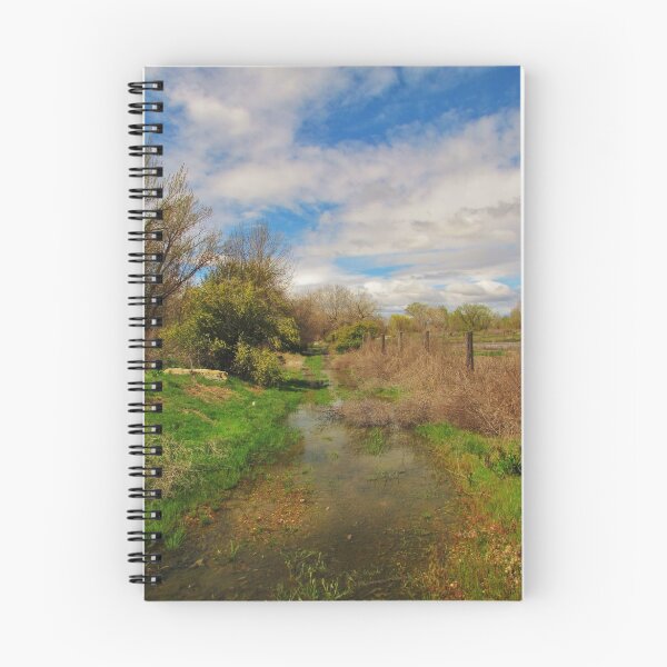 Item preview, Flooded Driveway designed and sold by Diane Arndt.
