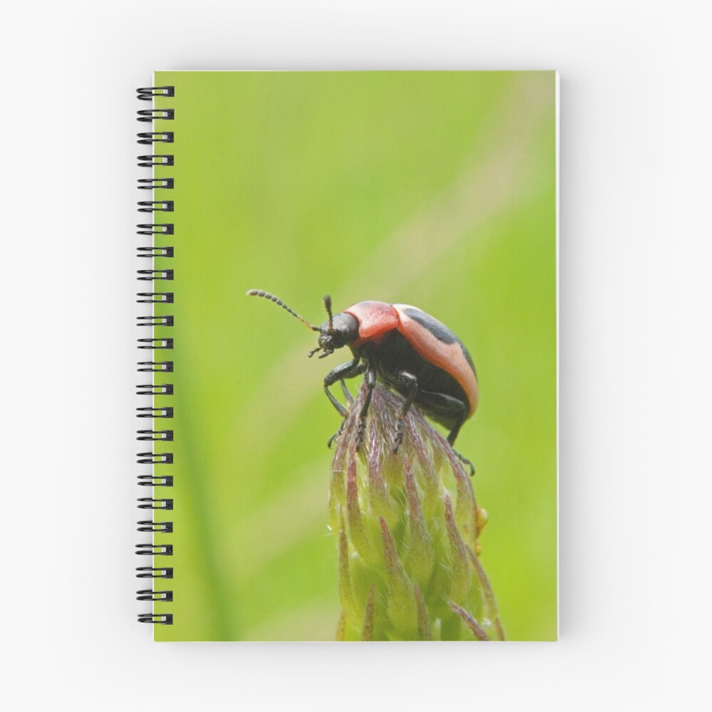 Item preview, Spiral Notebook designed and sold by Rando.