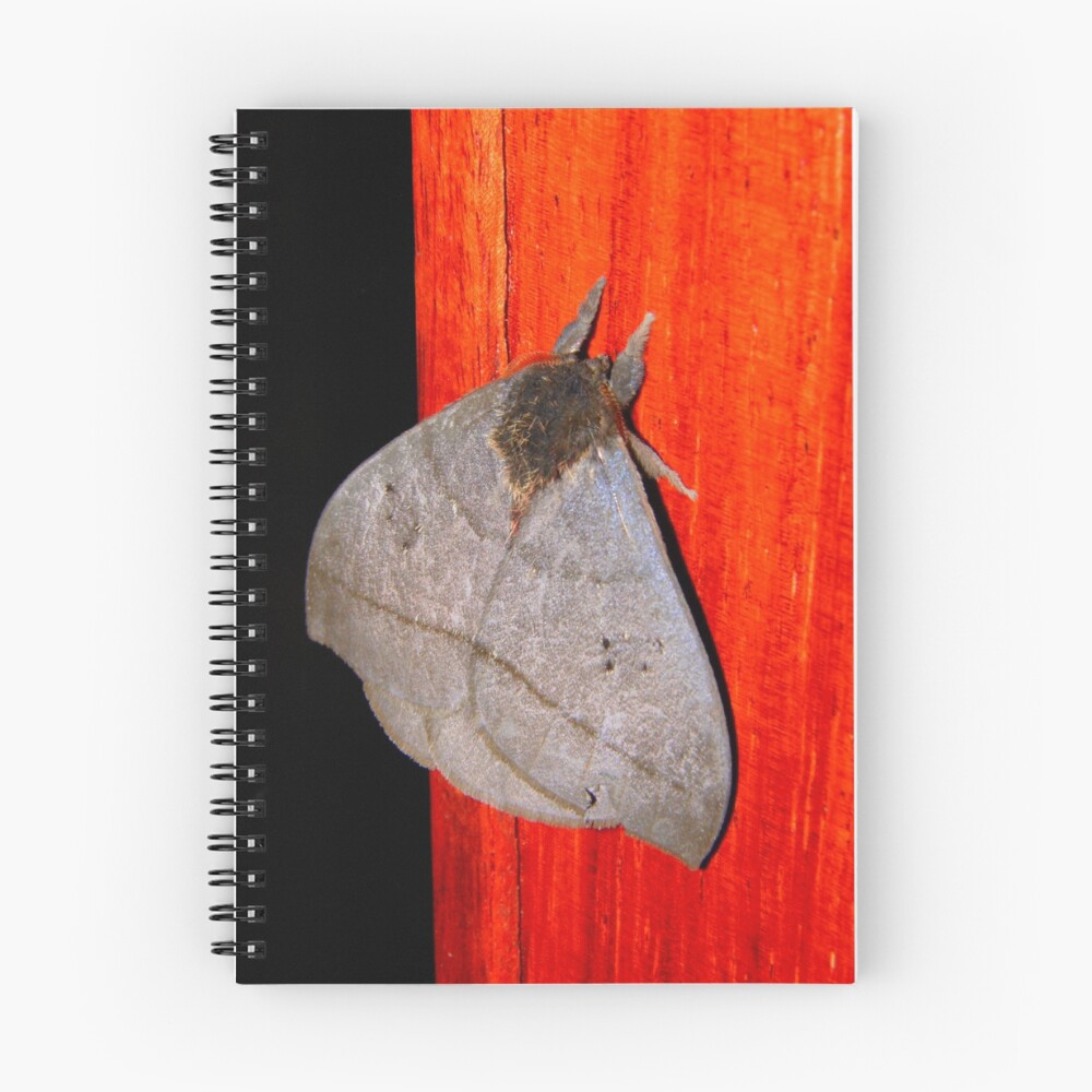 Item preview, Spiral Notebook designed and sold by Pandrot.