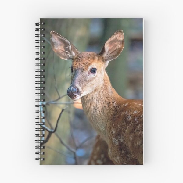 Item preview, Whitetail Baby Buck designed and sold by ReflectPhoto.